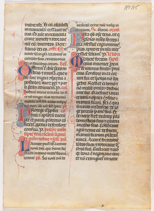 Photo: Elizabeth Mann