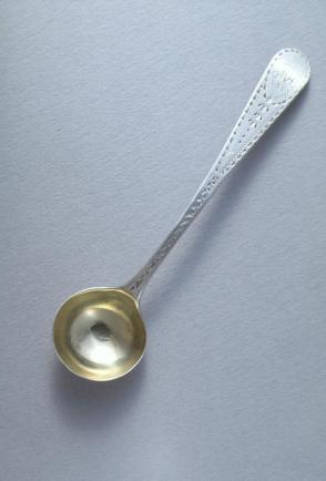 Salt Spoon